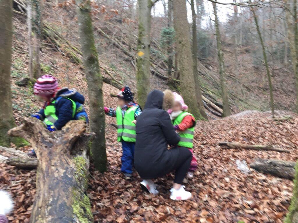 Neues im Wald entdecken 1 Neues im Wald entdecken