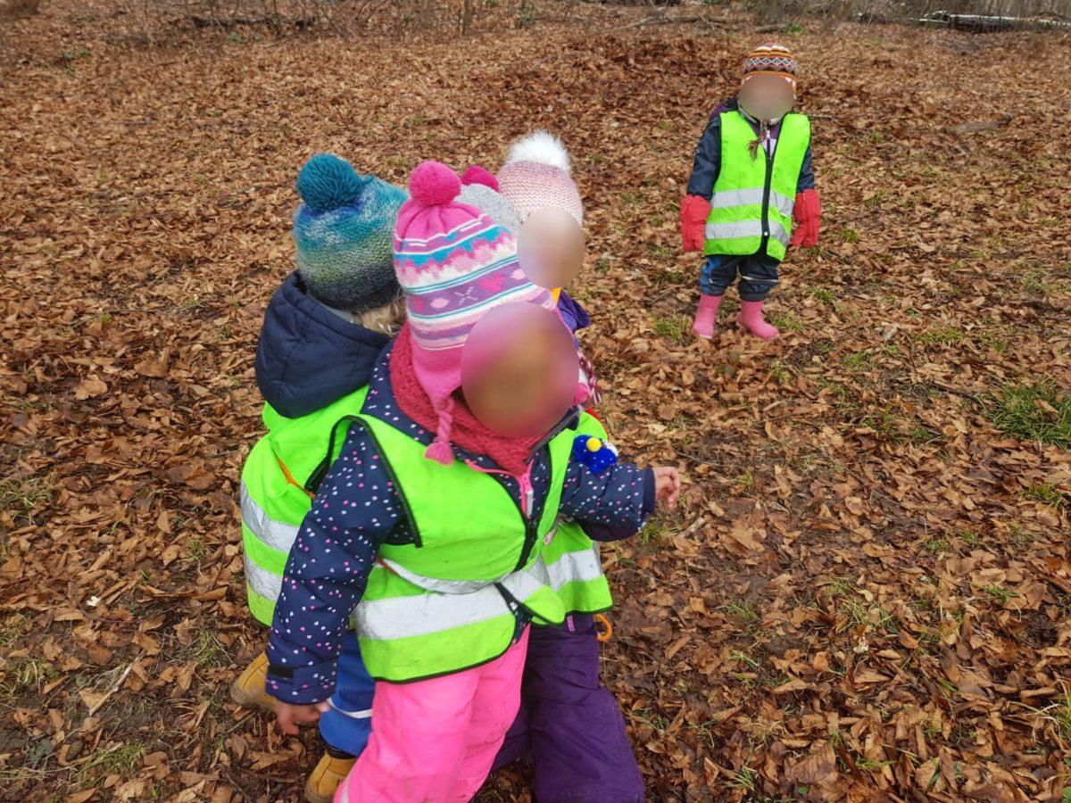 Seilspringen und Seilziehen im Wald