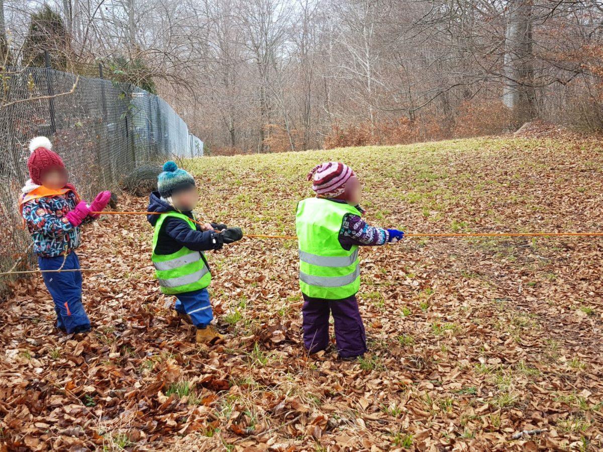 Seilspringen und Seilziehen im Wald