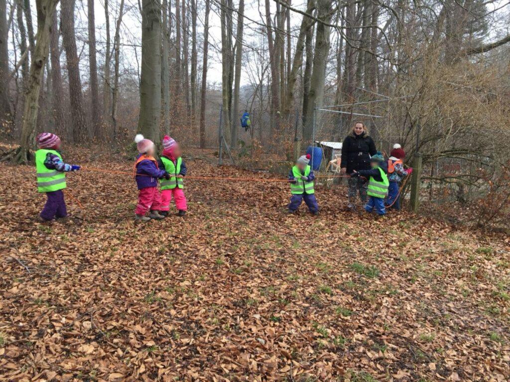 Seilspringen und Seilziehen im Wald - Teil 5 2 Seilspringen und Seilziehen im Wald