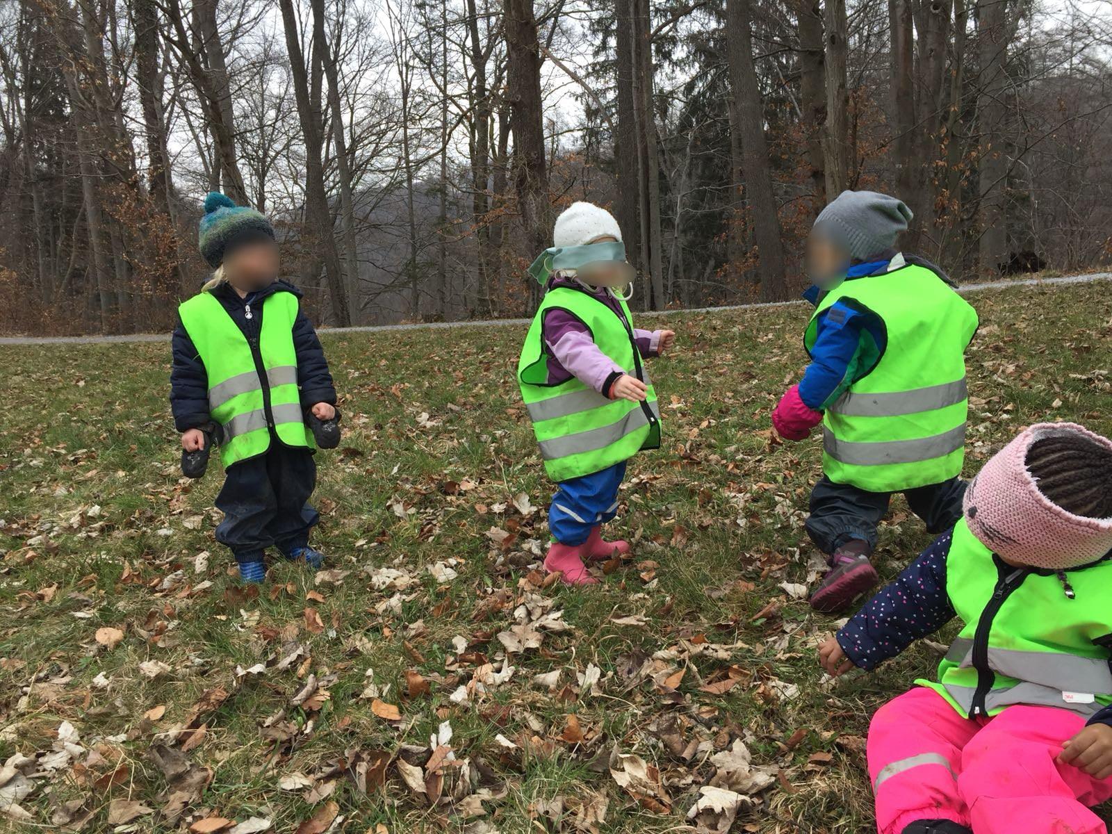 Die blinde Raupe im Wald