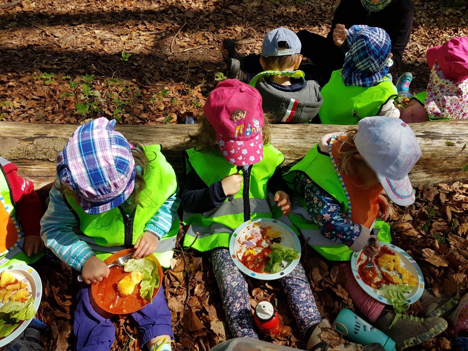 Mittagessen im Wald