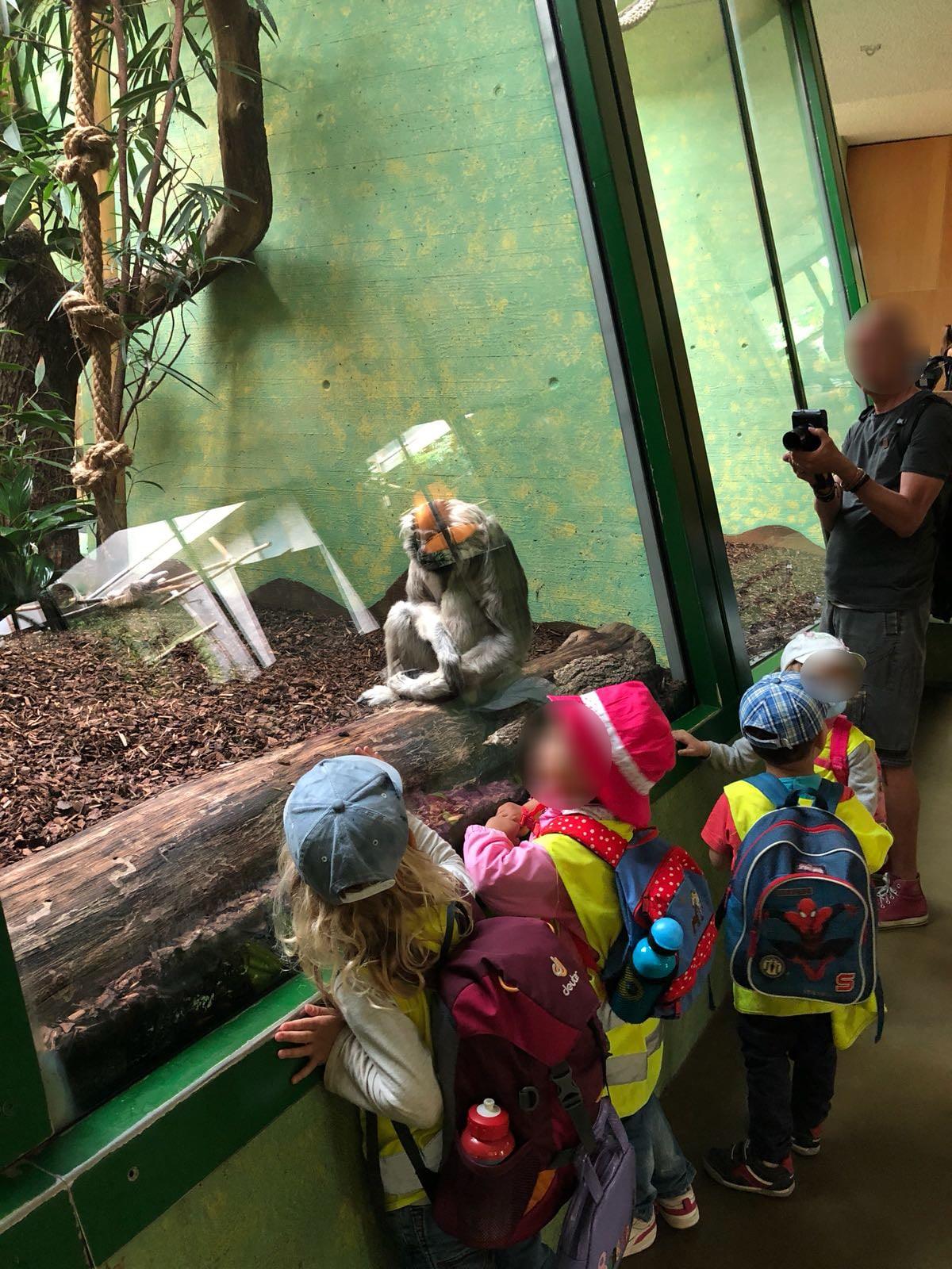 Tagesausflüg Zoo Zürich