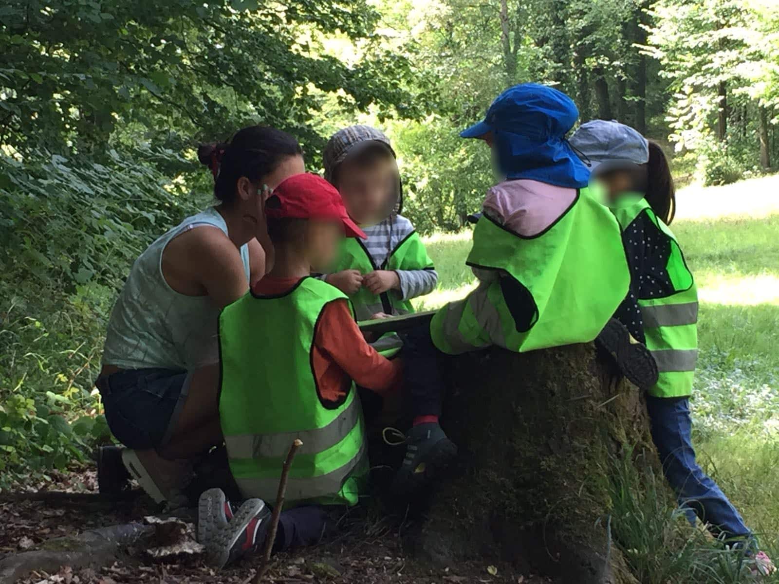 geschichte im wald