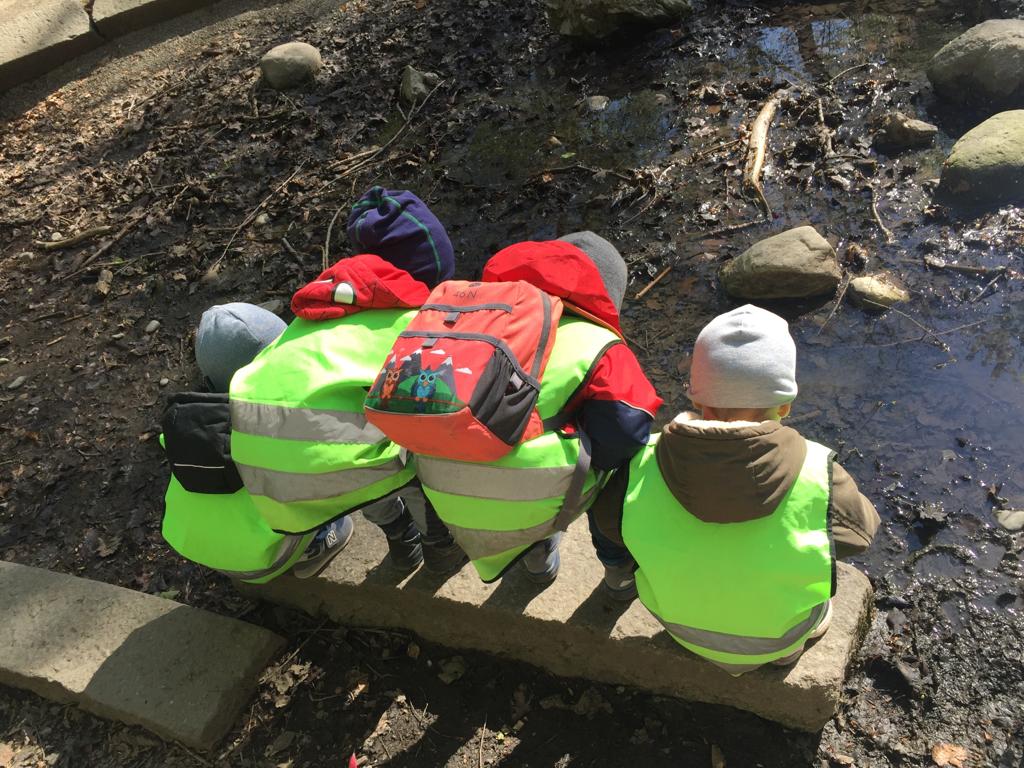 kinderkrippe blüemli - besuch am teich