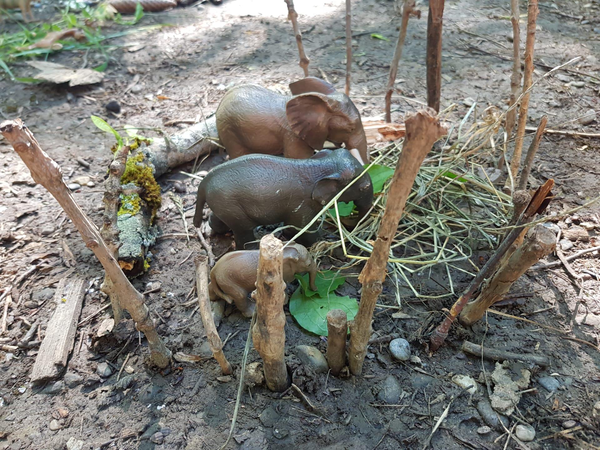 zoo nachbauen im wald 01