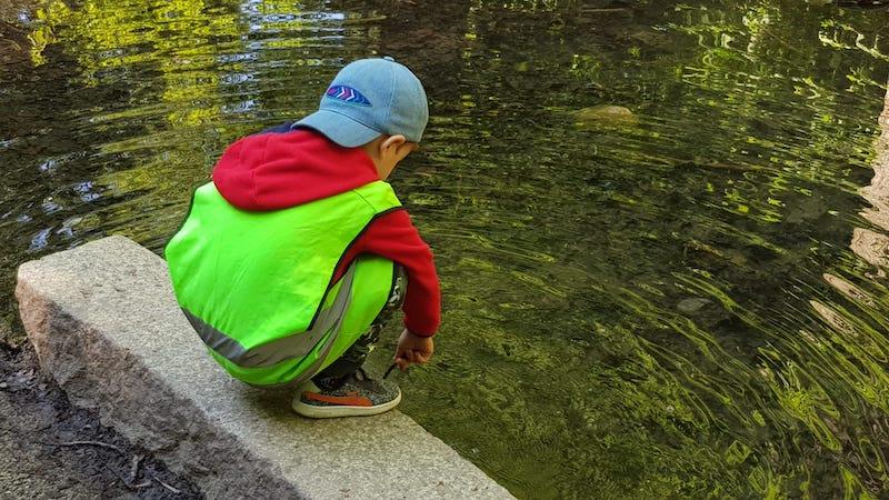 kinderkrippe bluemli - Frösche beobachten