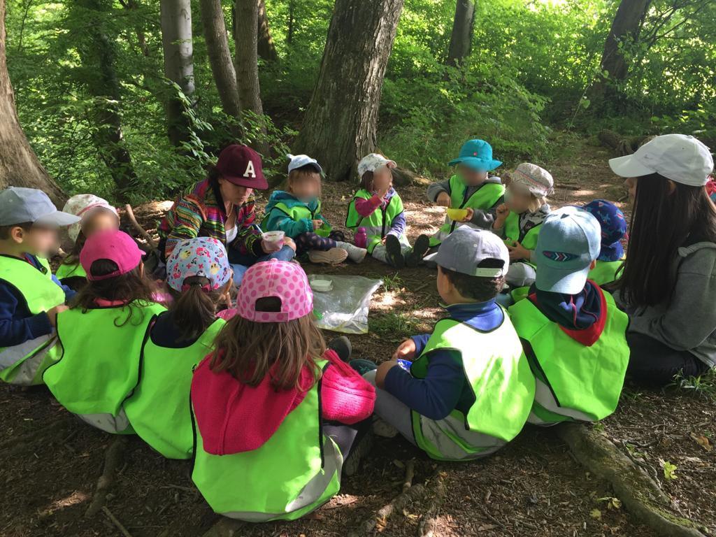 kinderkrippe bluemli - Wald Zvieri