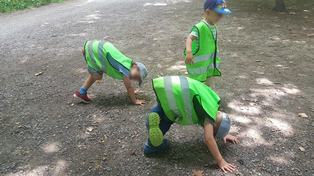 kinderkrippe und waldkinderkrippe bluemli - zirkus yoga