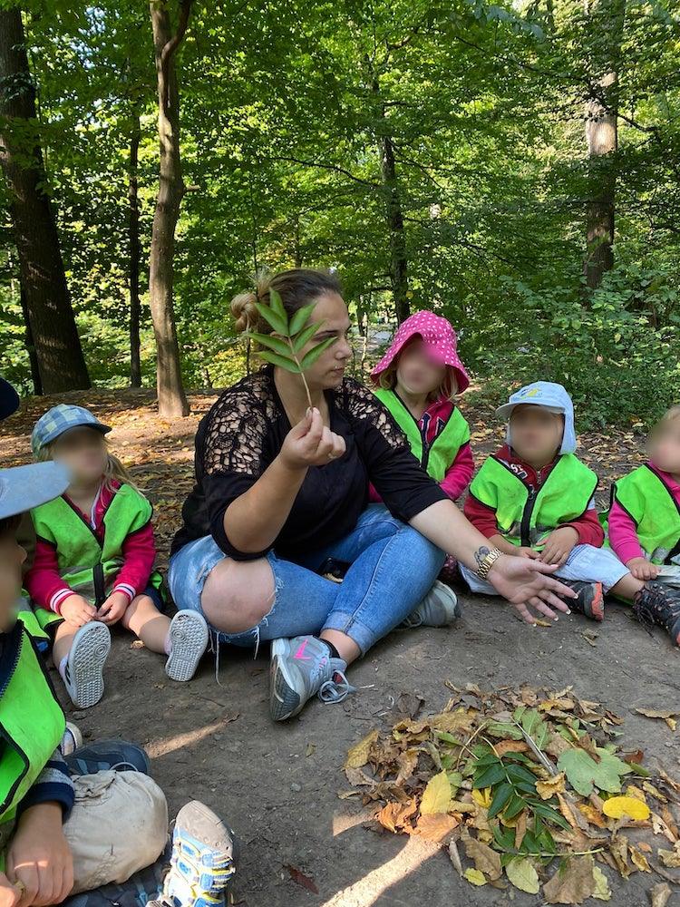 blätter erkennen - Kinderkrippe + Waldkinderkrippe Blüemli in Zürich