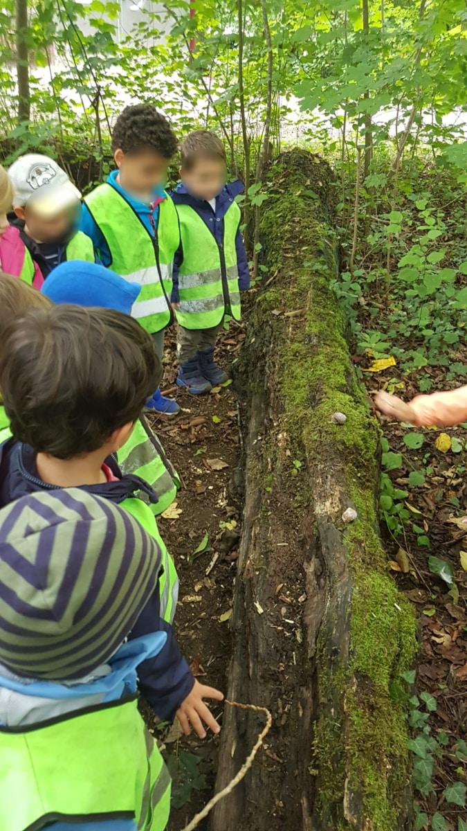 schnecken beobachten - Kinderkrippe + Waldkinderkrippe Blüemli in Zürich