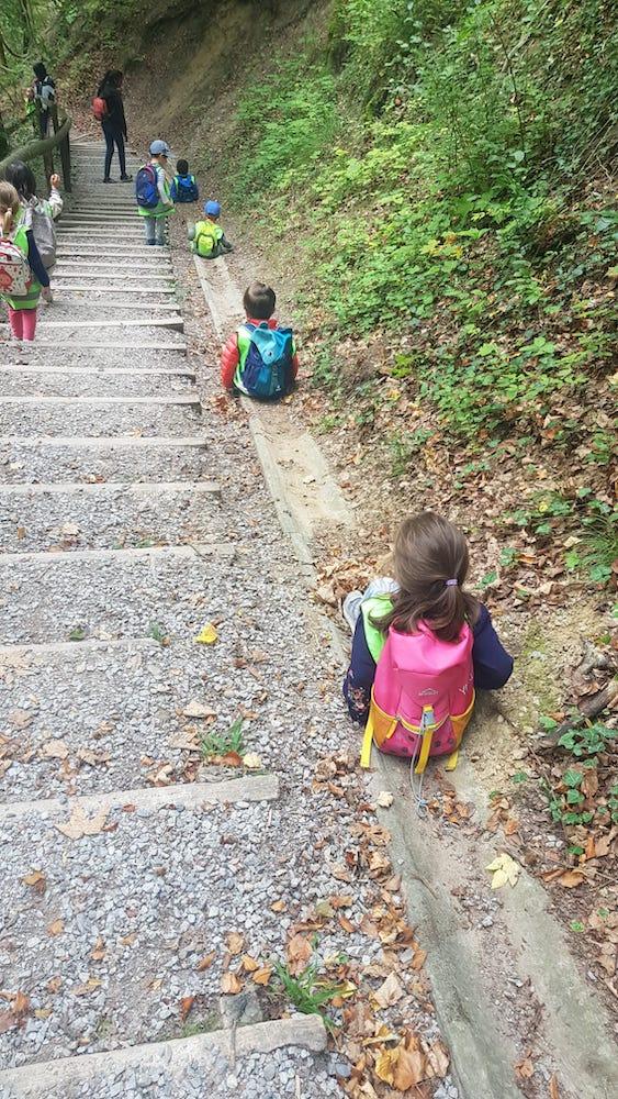 waldrutsche - Kinderkrippe + Waldkinderkrippe Blüemli in Zürich