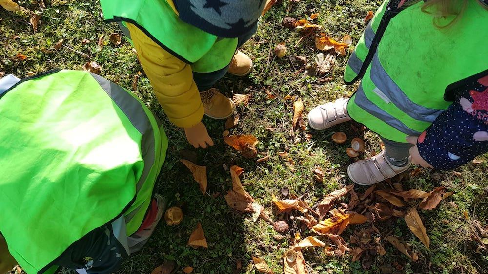 wir suchen marroni - Kinderkrippe + Waldkinderkrippe Blüemli in Zürich