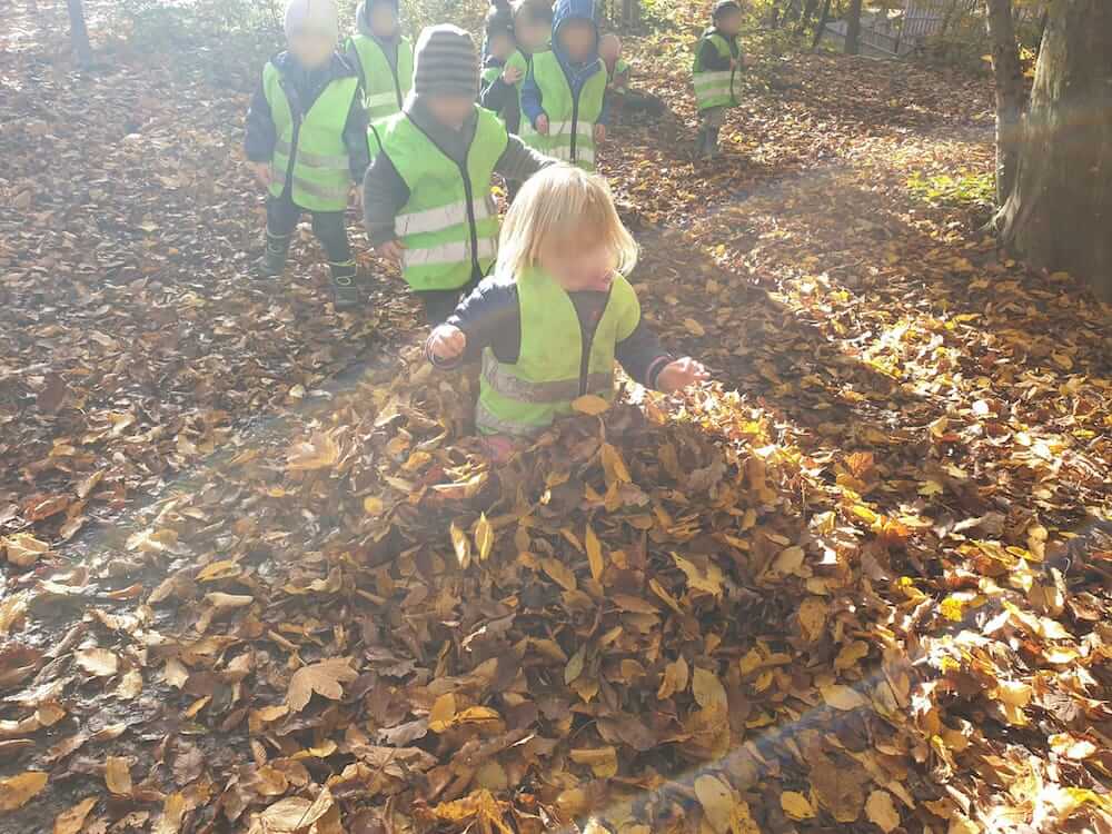 Herbstblätter - Kinderkrippe-Waldkinderkrippe-Blüemli-in-Zürich