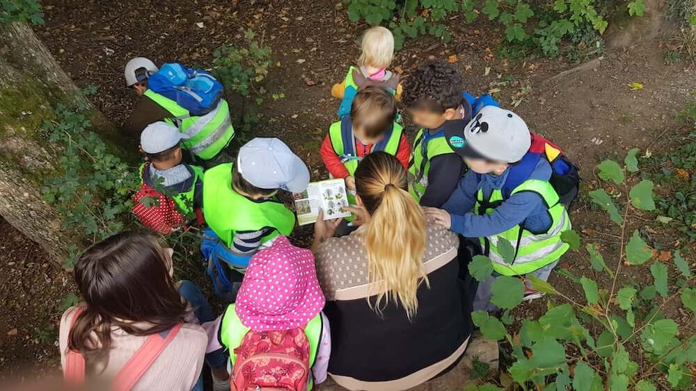 welche bäume gibt es im wald - Kinderkrippe + Waldkinderkrippe Blüemli in Zürich