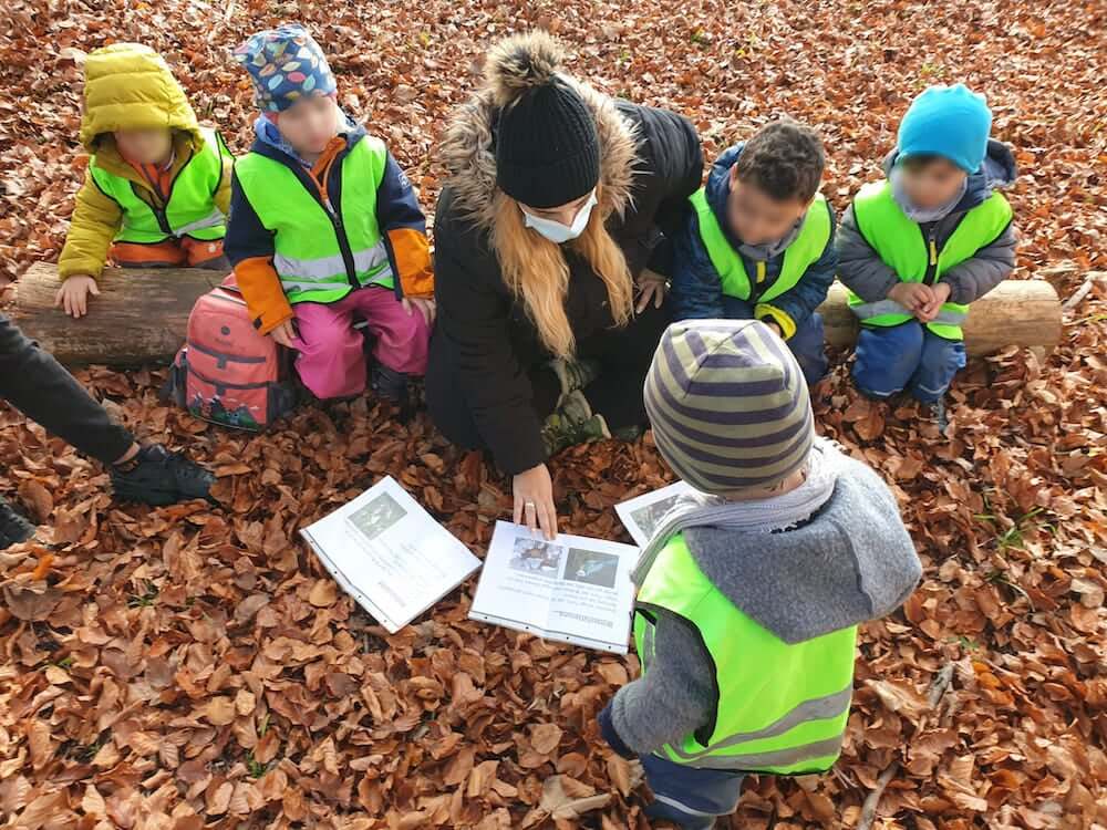 Welche Tiere schlafen im Winter - Kinderkrippe und Waldkinderkrippe Blüemli in Zürich Witikon