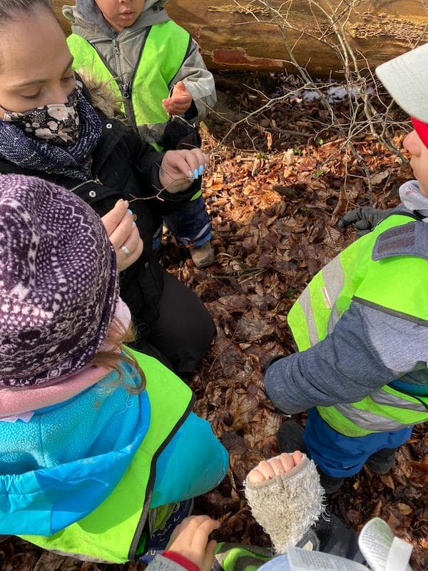 fruehling entdecken kinderkrippe und waldkinderkrippe blueemli in zuerich witikon