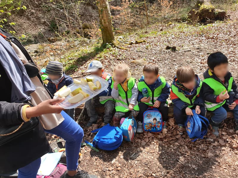 zvieri im wald kinderkrippe und waldkinderkrippe blueemli in zuerich witikon 1