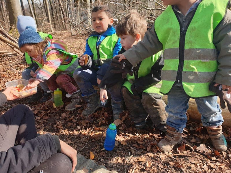 zvieri im wald kinderkrippe und waldkinderkrippe blueemli in zuerich witikon