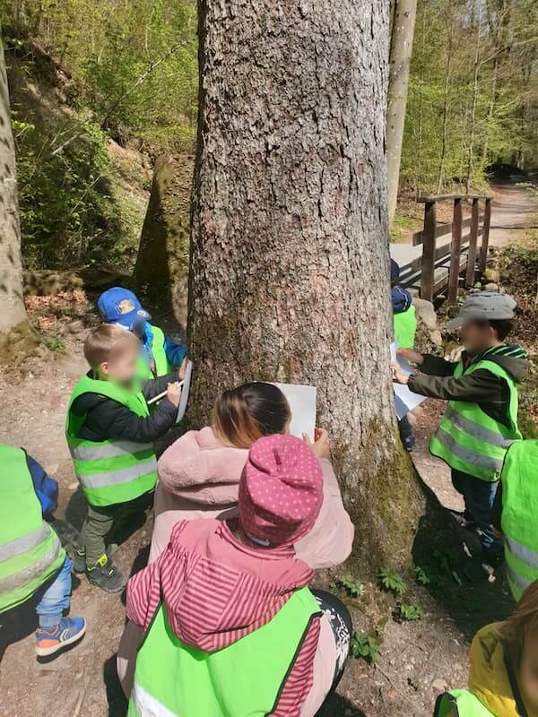 baumstruktur nach zeichen kinderbetreuung blueemli kinderkrippe und waldkinderkrippe