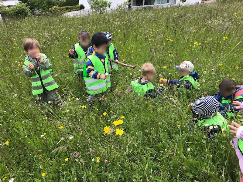 im gruenen kinderbetreuung blueemli kinderkrippe und waldkinderkrippe