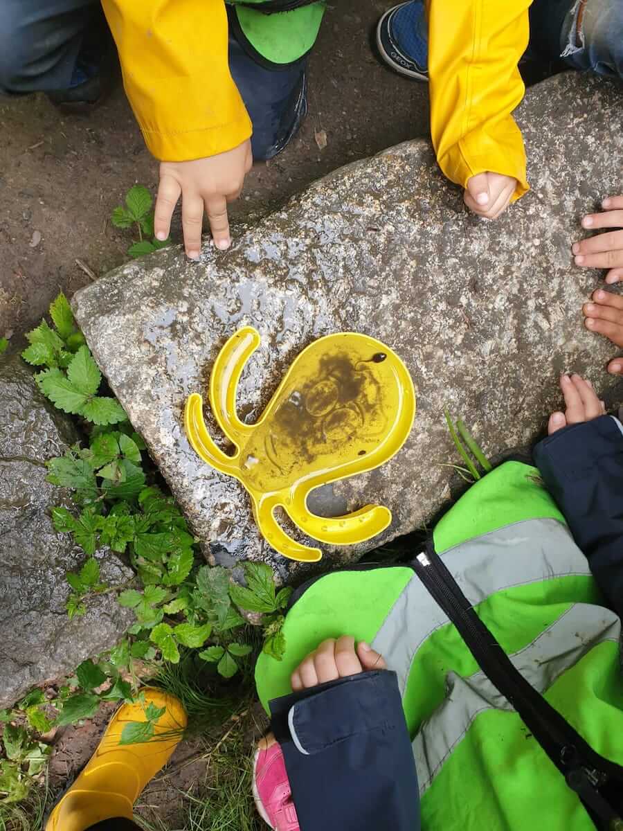 quallkappen beobachten kinderbetreuung blueemli kinderkrippe und waldkinderkrippe