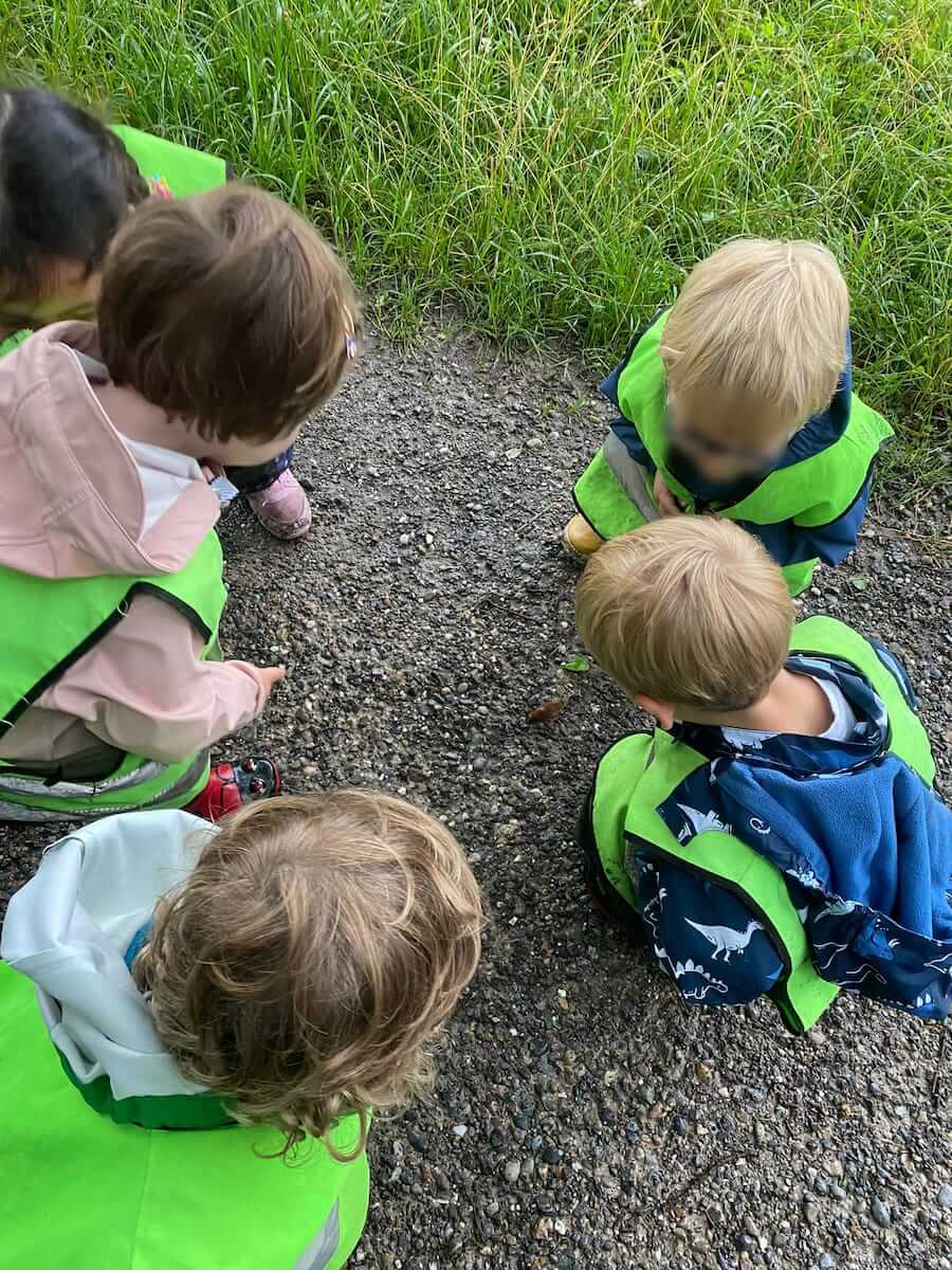 schnecken beobachten kinderkrippe und waldkinderkrippe blueemli in zuerich witikon