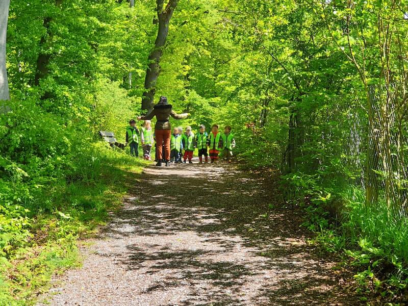 wettrennen im wald kinderbetreuung blueemli kinderkrippe und waldkinderkrippe