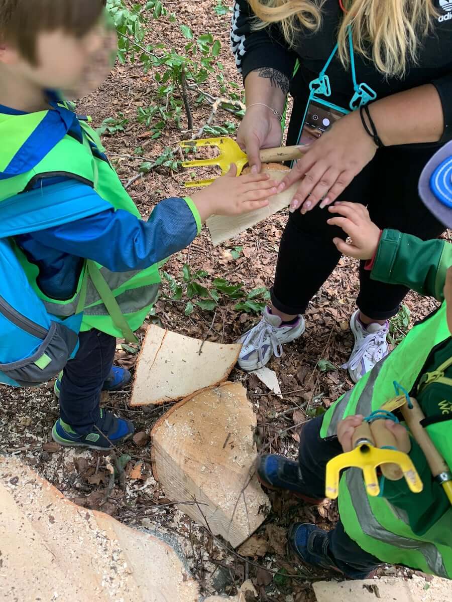 baumrinde erkunden kinderbetreuung kinderkrippe und waldkinderkrippe blueemli in zuerich witikon