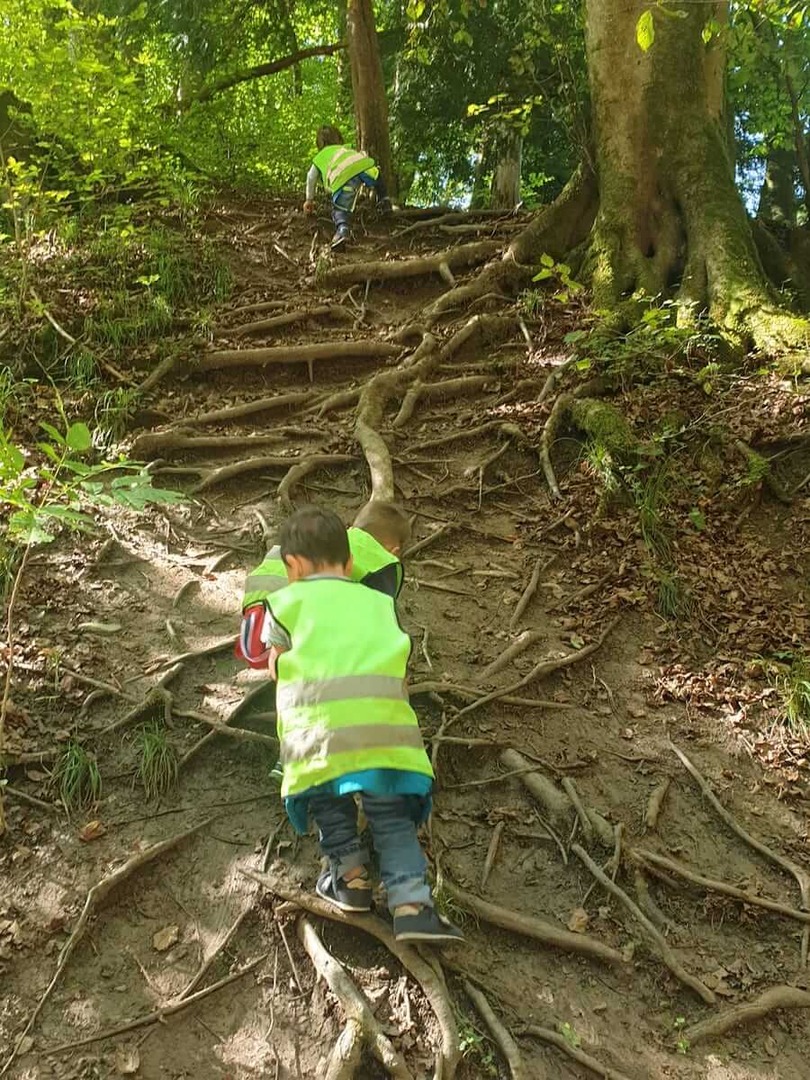 klettern im wald kinderbetreuung kinderkrippe und waldkinderkrippe blueemli in zuerich witikon