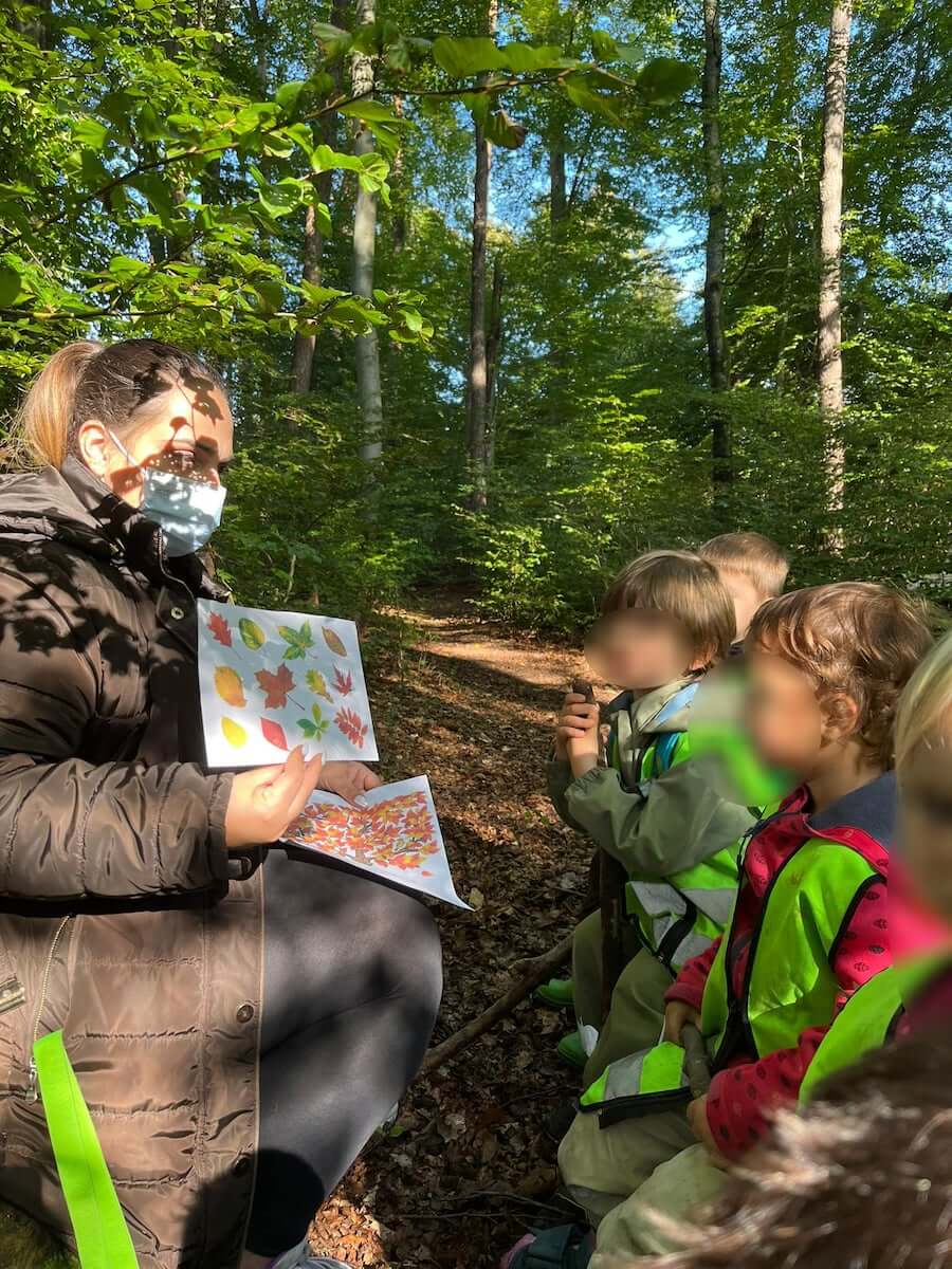 was ist herbst kinderbetreuung kinderkrippe und waldkinderkrippe blueemli in zuerich witikon