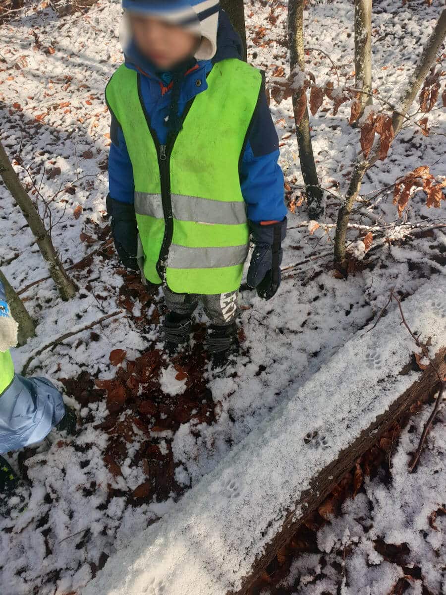 spuren im schnee beobachten kinderbetreuung kinderkrippe und waldkinderkrippe blueemli in zuerich witikon