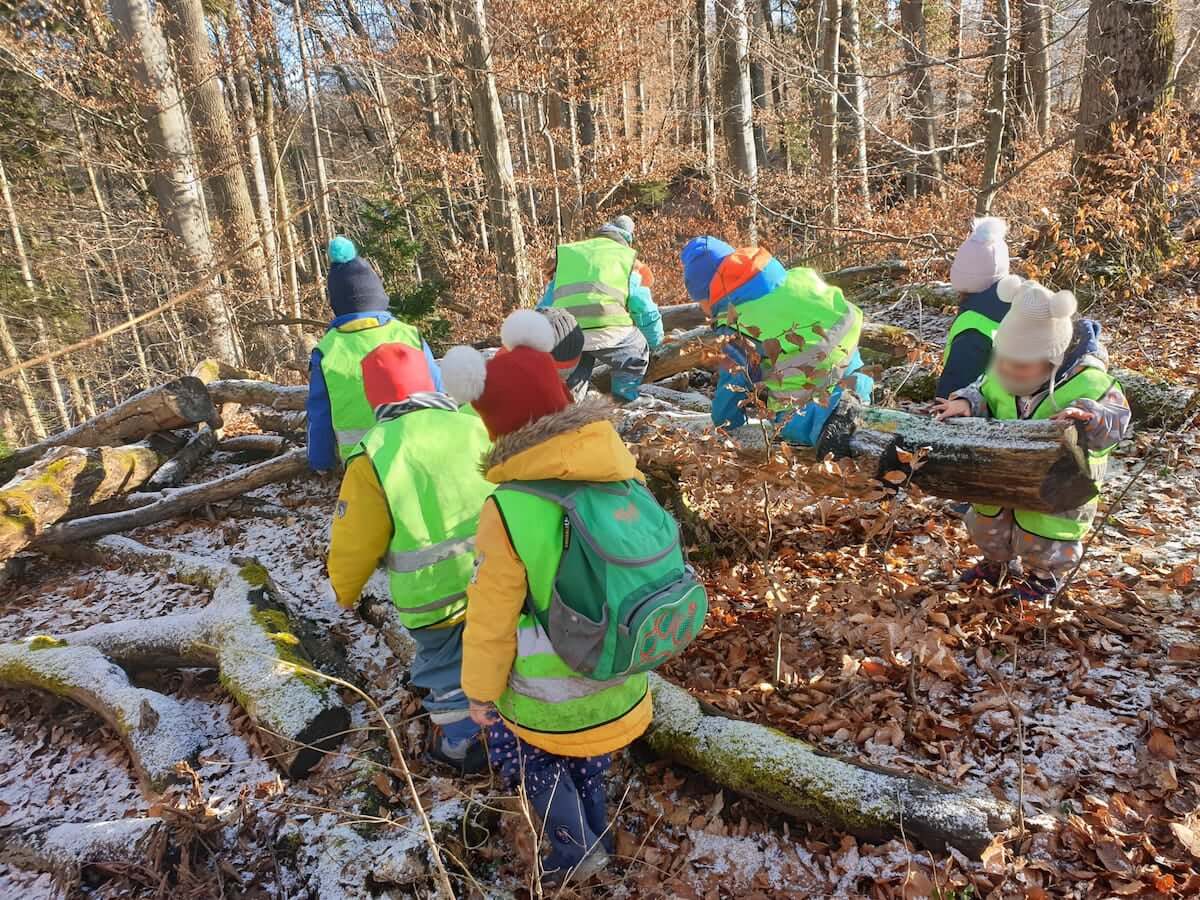 ein tag im wald kinderbetreuung kinderkrippe und waldkinderkrippe blueemli in zuerich witikon