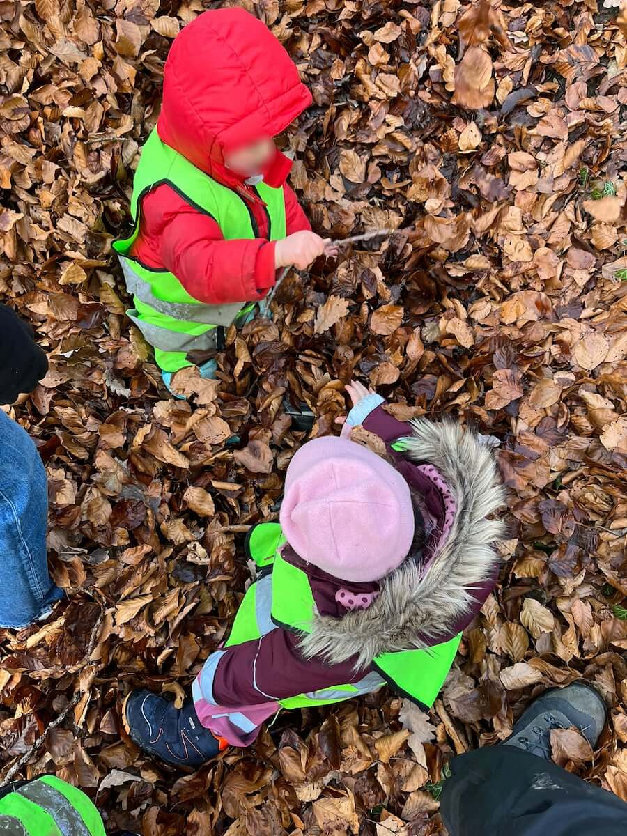 im laub kinderbetreuung kinderkrippe und waldkinderkrippe blueemli in zuerich witikon