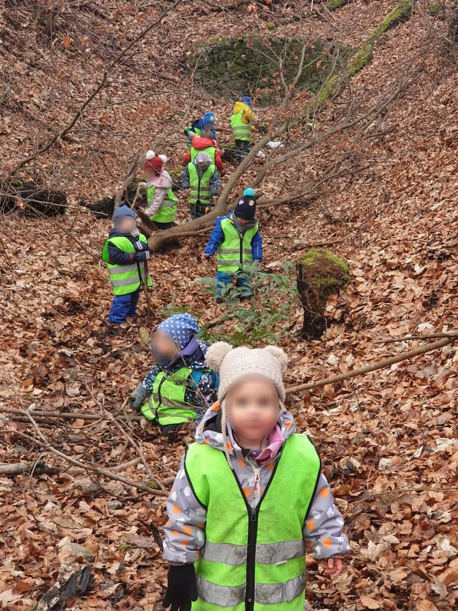 unser waldtag kinderbetreuung kinderkrippe und waldkinderkrippe blueemli in zuerich witikon