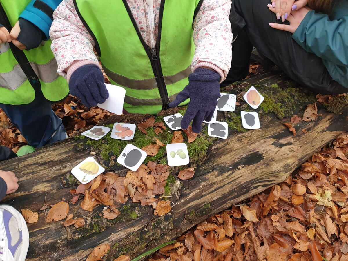 welches bild gehoert zu welcher schatten kinderbetreuung kinderkrippe und waldkinderkrippe blueemli in zuerich witikon