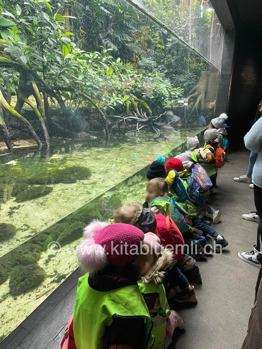 aquarium im zoo zuerich kinderkrippe und waldkinderkrippe blueemli in zuerich witikon