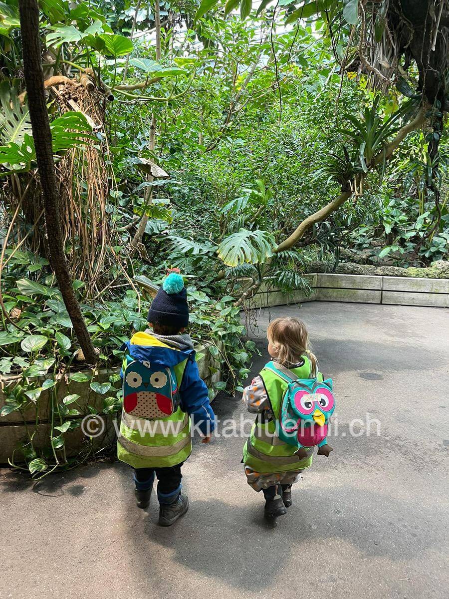 masoala regenwald kinderkrippe und waldkinderkrippe blueemli in zuerich witikon