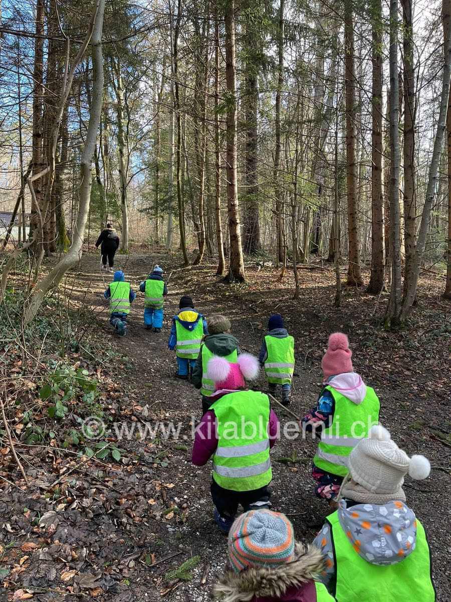 unterwegs im wald kinderbetreuung kinderkrippe und waldkinderkrippe blueemli in zuerich witikon