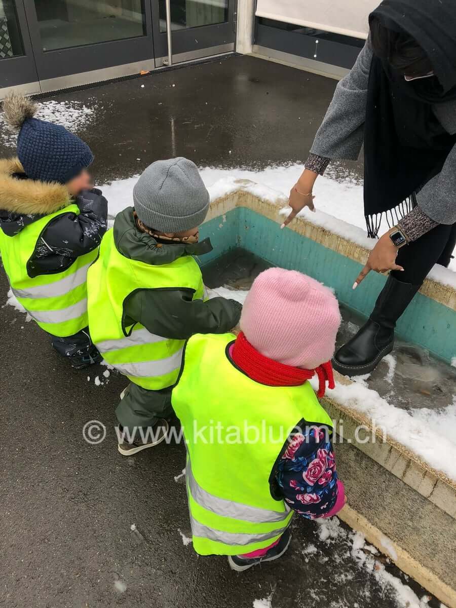 wie das eis bricht kinderbetreuung kinderkrippe und waldkinderkrippe blueemli in zuerich witikon