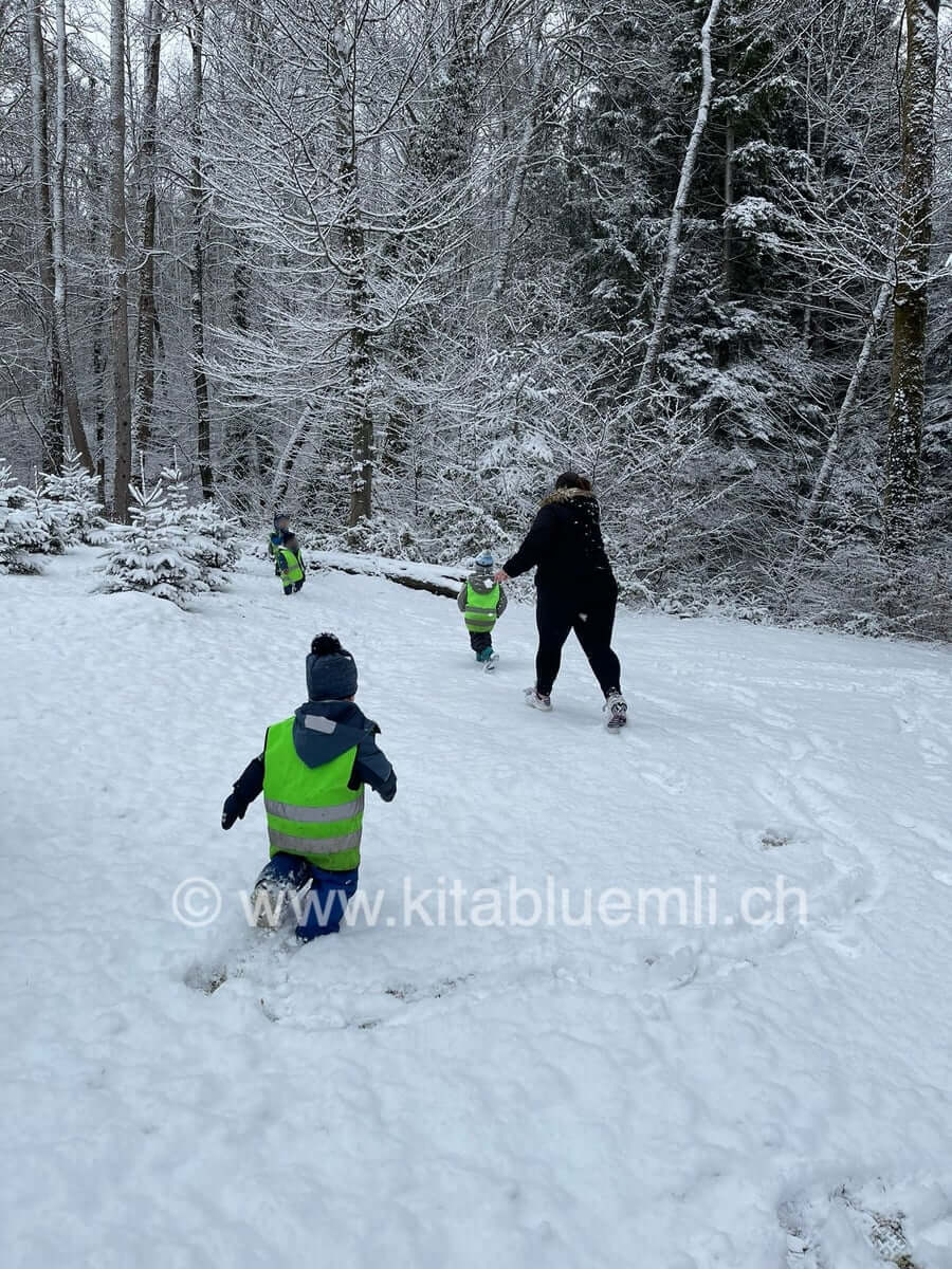 wir haben spass im schnee kinderbetreuung kinderkrippe und waldkinderkrippe blueemli in zuerich witikon