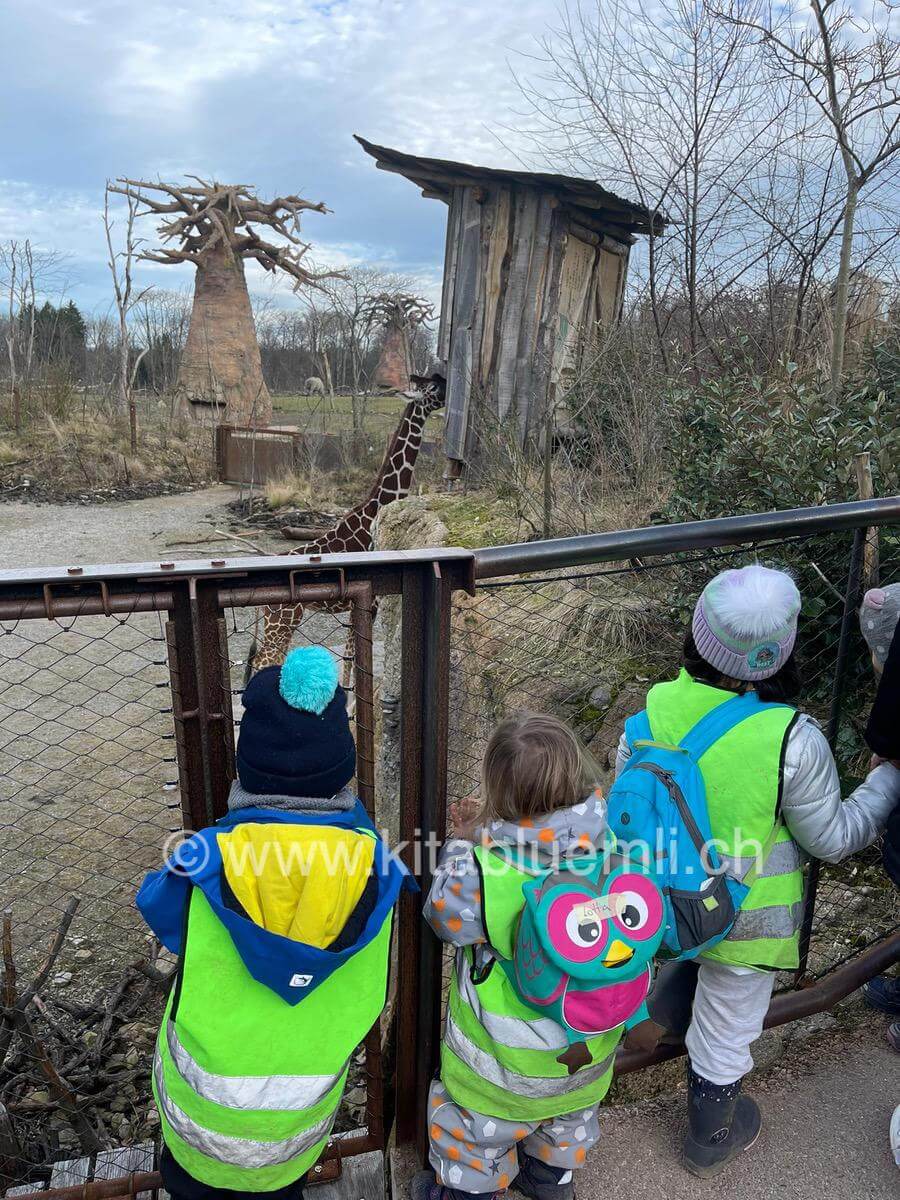 zoobesuch kinderkrippe und waldkinderkrippe blueemli in zuerich witikon