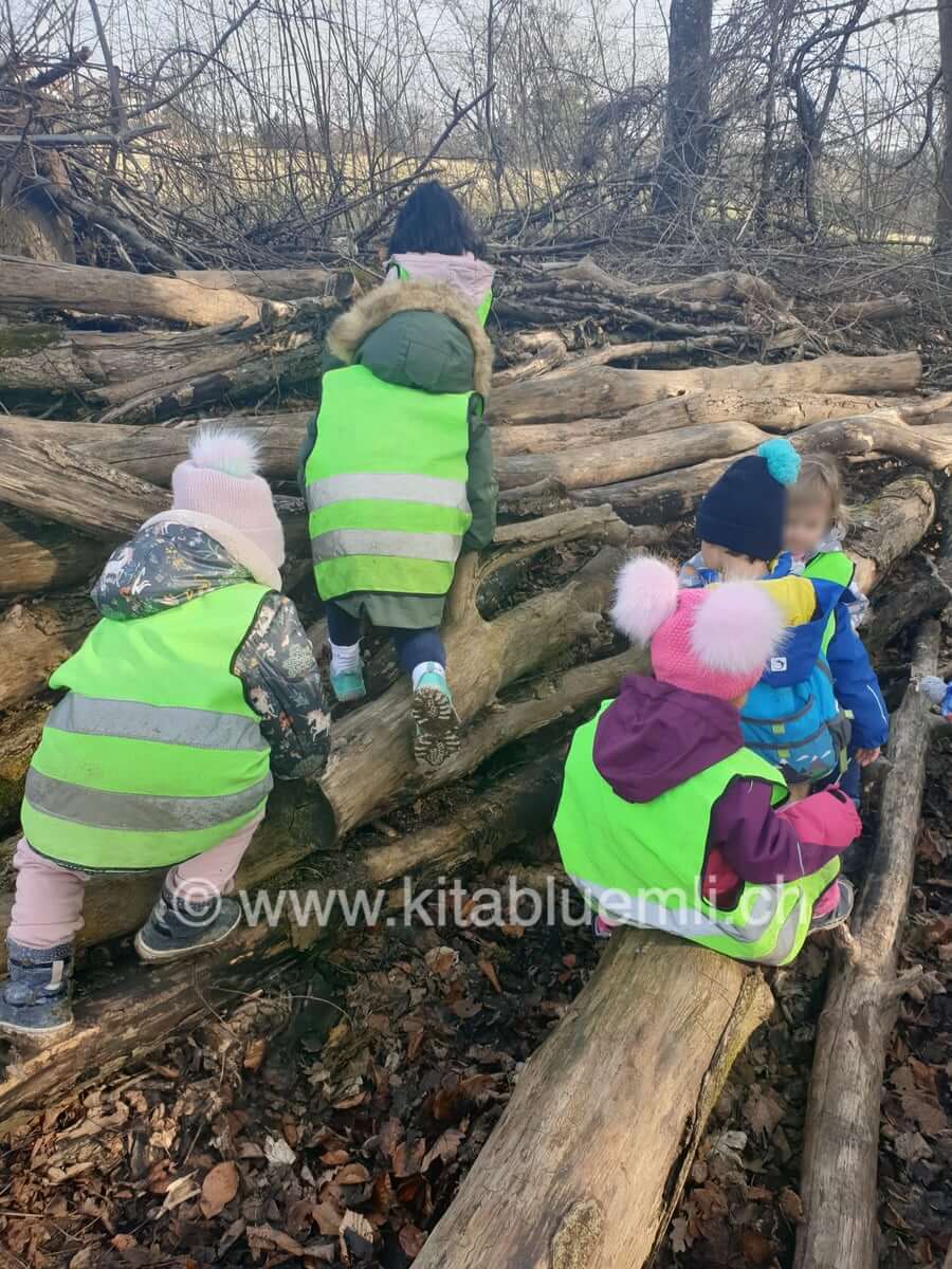 spass auf baumstaemme kinderkrippe und waldkinderkrippe blueemli in zuerich witikon