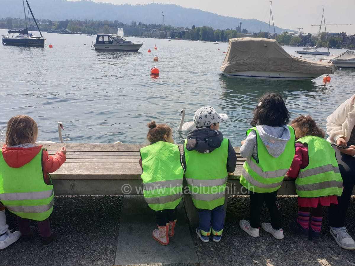 am zuerichsee kinderbetreuung kinderkrippe und waldkinderkrippe blueemli in zuerich witikon