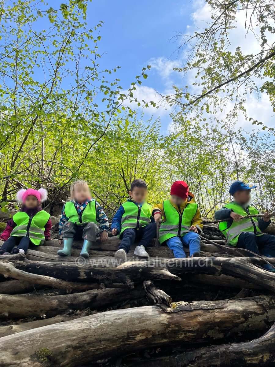 auf baumstaemme kinderbetreuung kinderkrippe und waldkinderkrippe blueemli in zuerich witikon