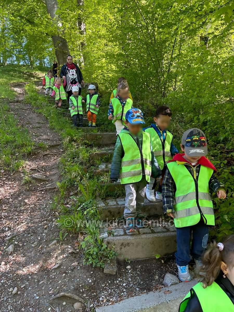 waldtreppe kinderbetreuung kinderkrippe und waldkinderkrippe blueemli in zuerich witikon