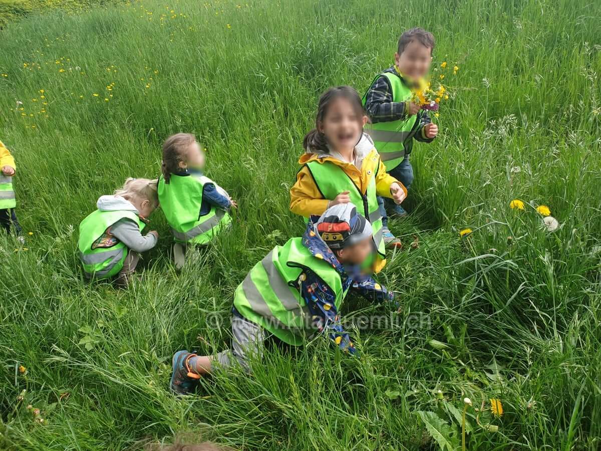 spass im grass kinderbetreuung kinderkrippe und waldkinderkrippe blueemli in zuerich witikon