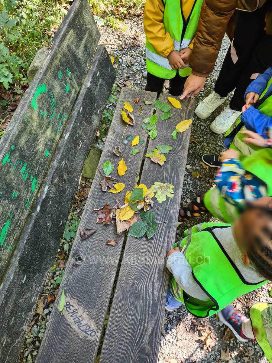 herbstfarben der blaetter kinderbetreuung kinderkrippe und waldkinderkrippe blueemli in zuerich witikon