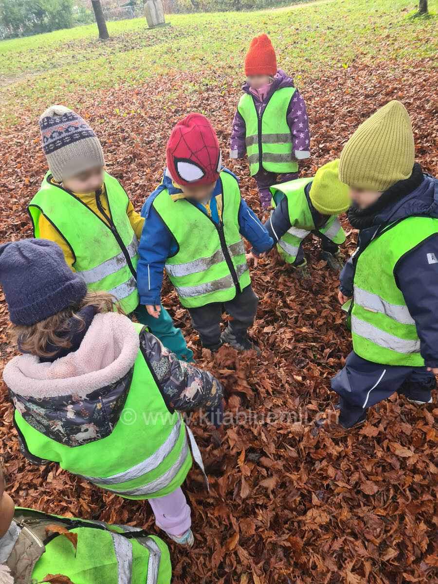 spass mit laub kinderbetreuung kinderkrippe und waldkinderkrippe blueemli in zuerich witikon