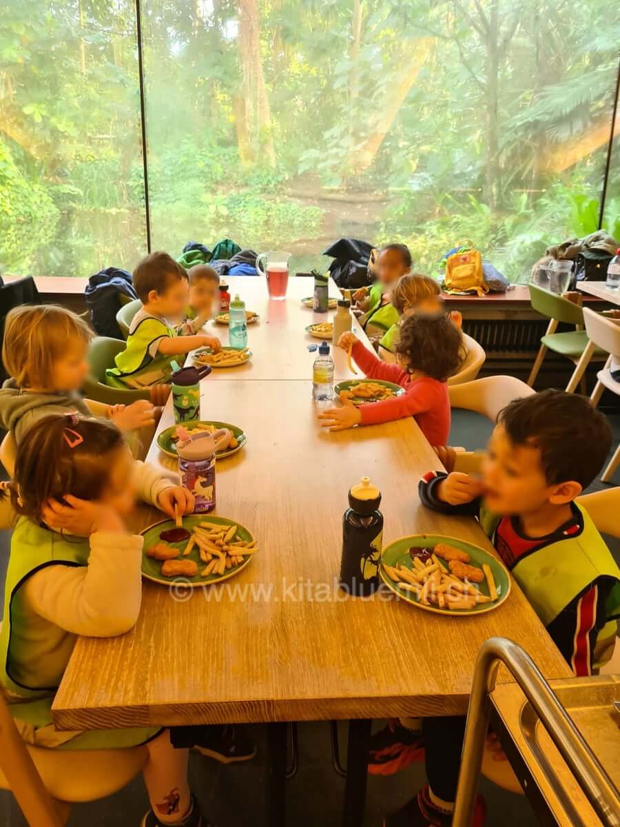 mittagessen im zoo restaurant kinderbetreuung kinderkrippe und waldkinderkrippe blueemli in zuerich witikon